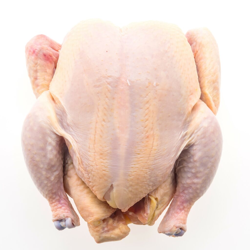 Raw chicken meat