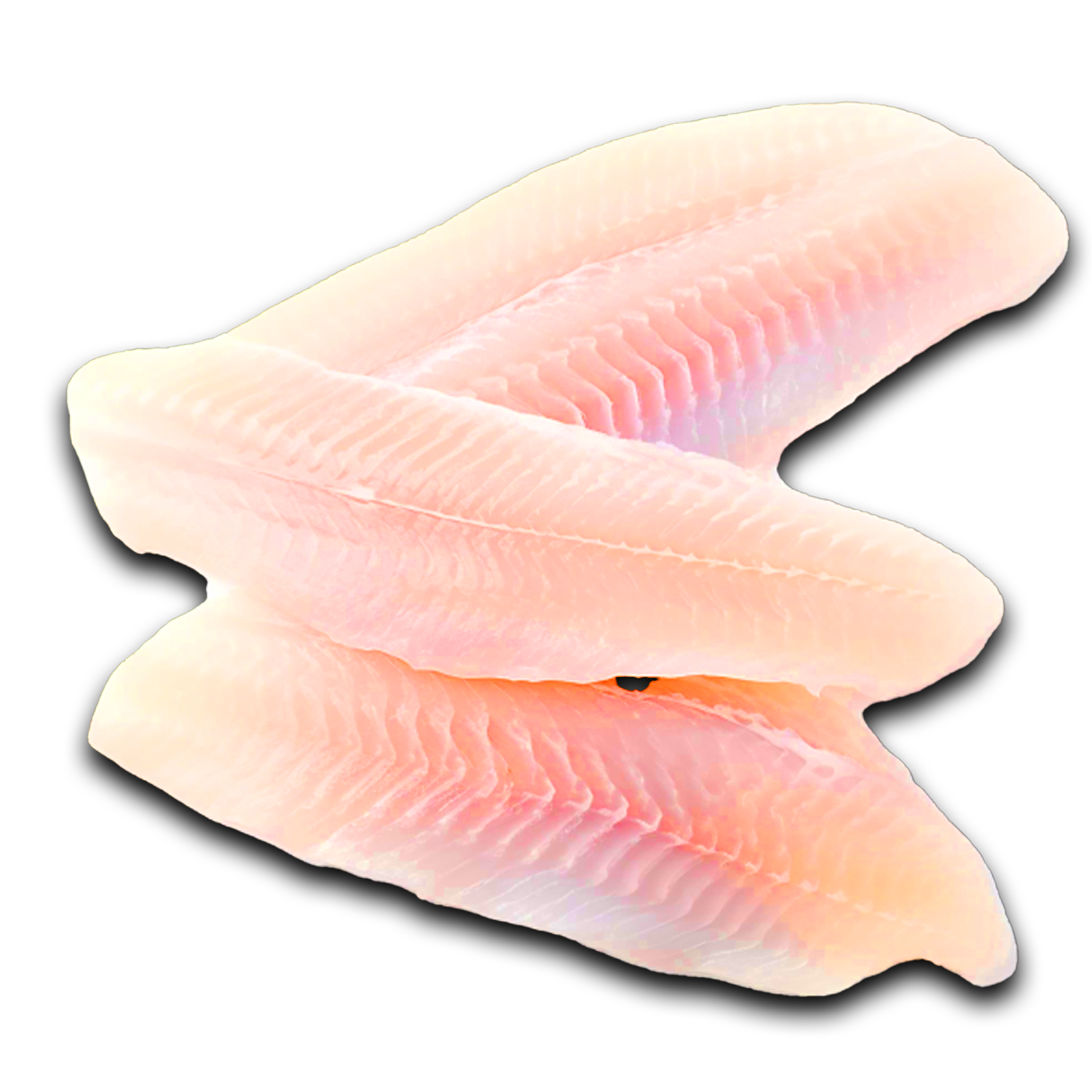 Vardzia Fish