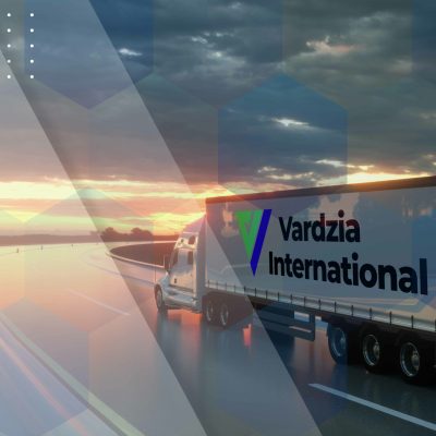 Vardzia International